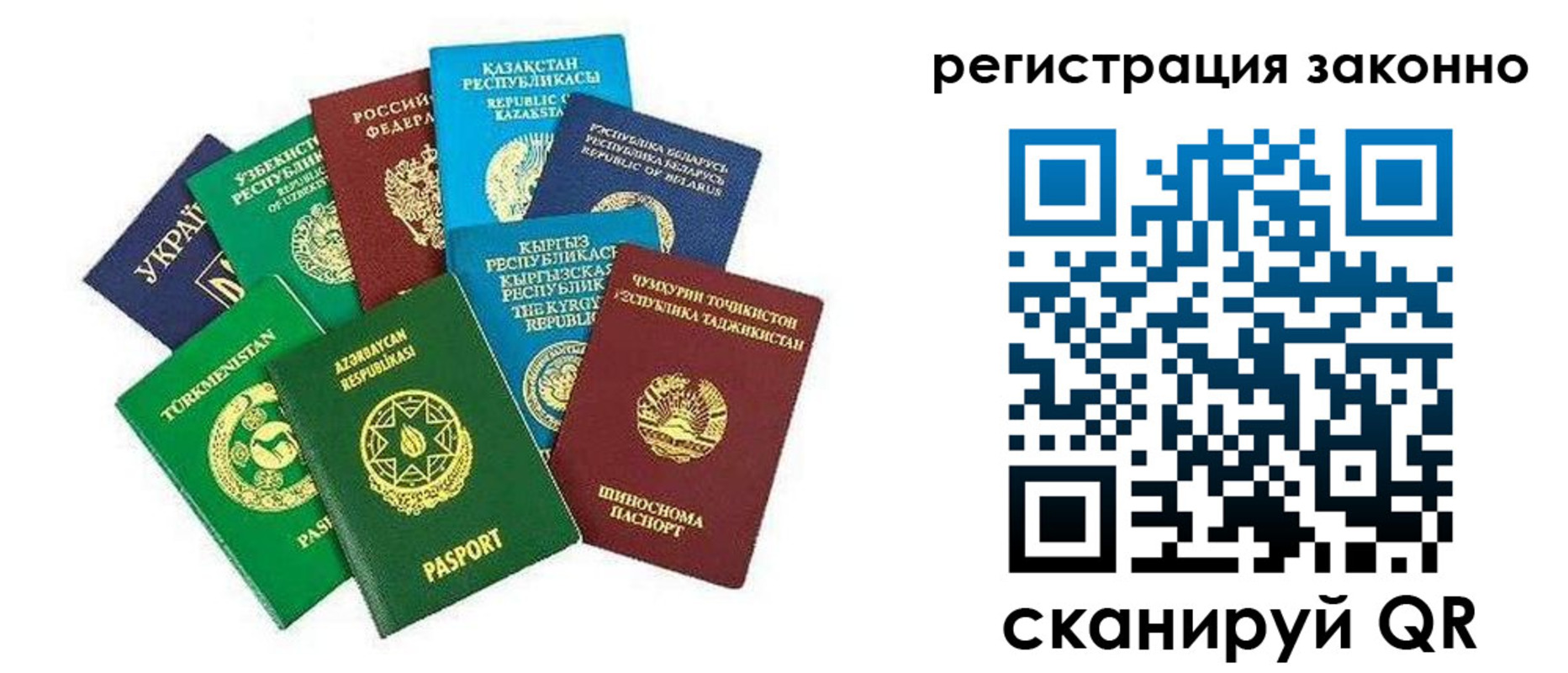 временная регистрация поиск в Анапе